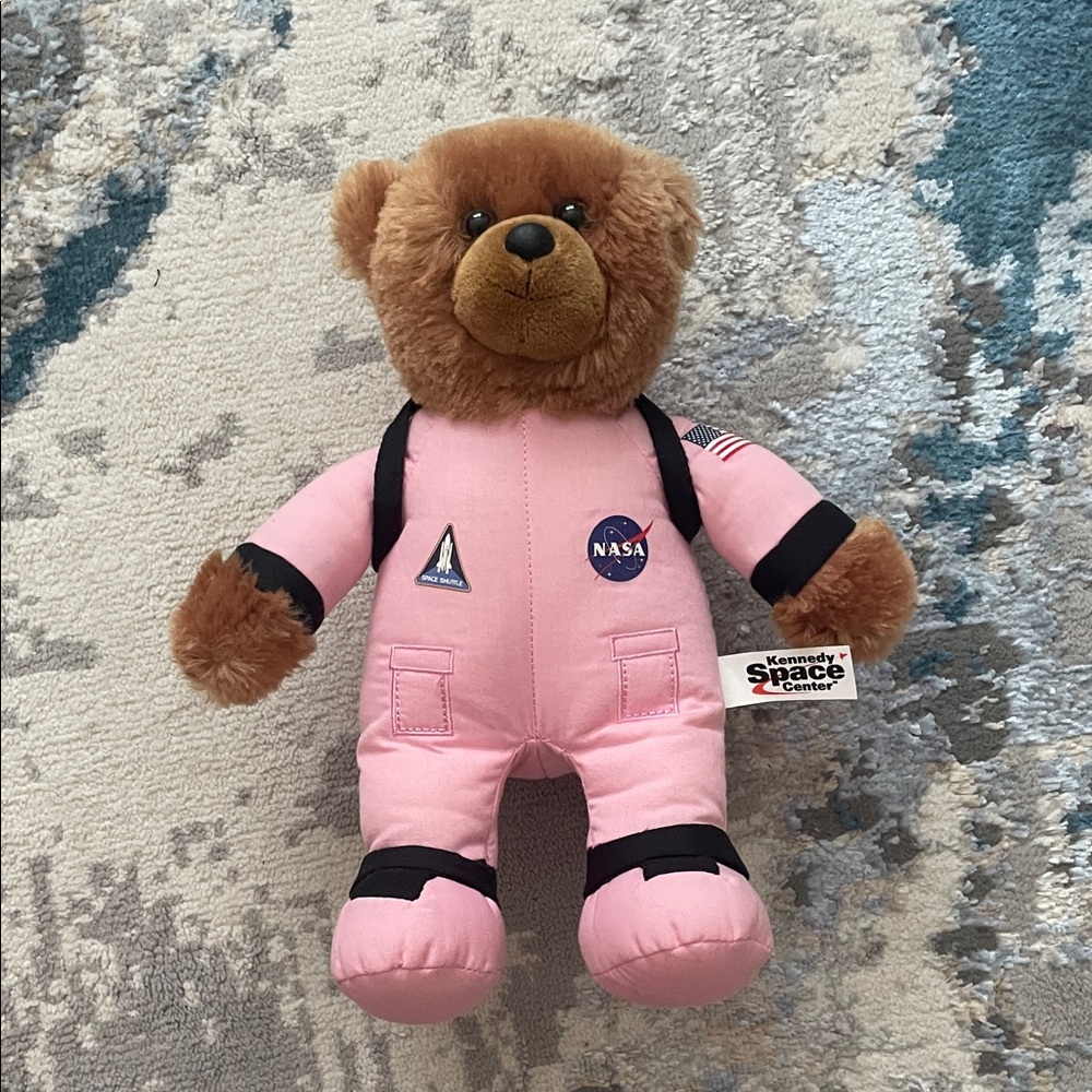 Pink NASA Teddy Bear
